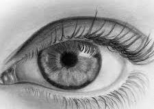 pencil-drawing1