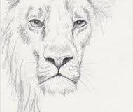 pencil-drawing3